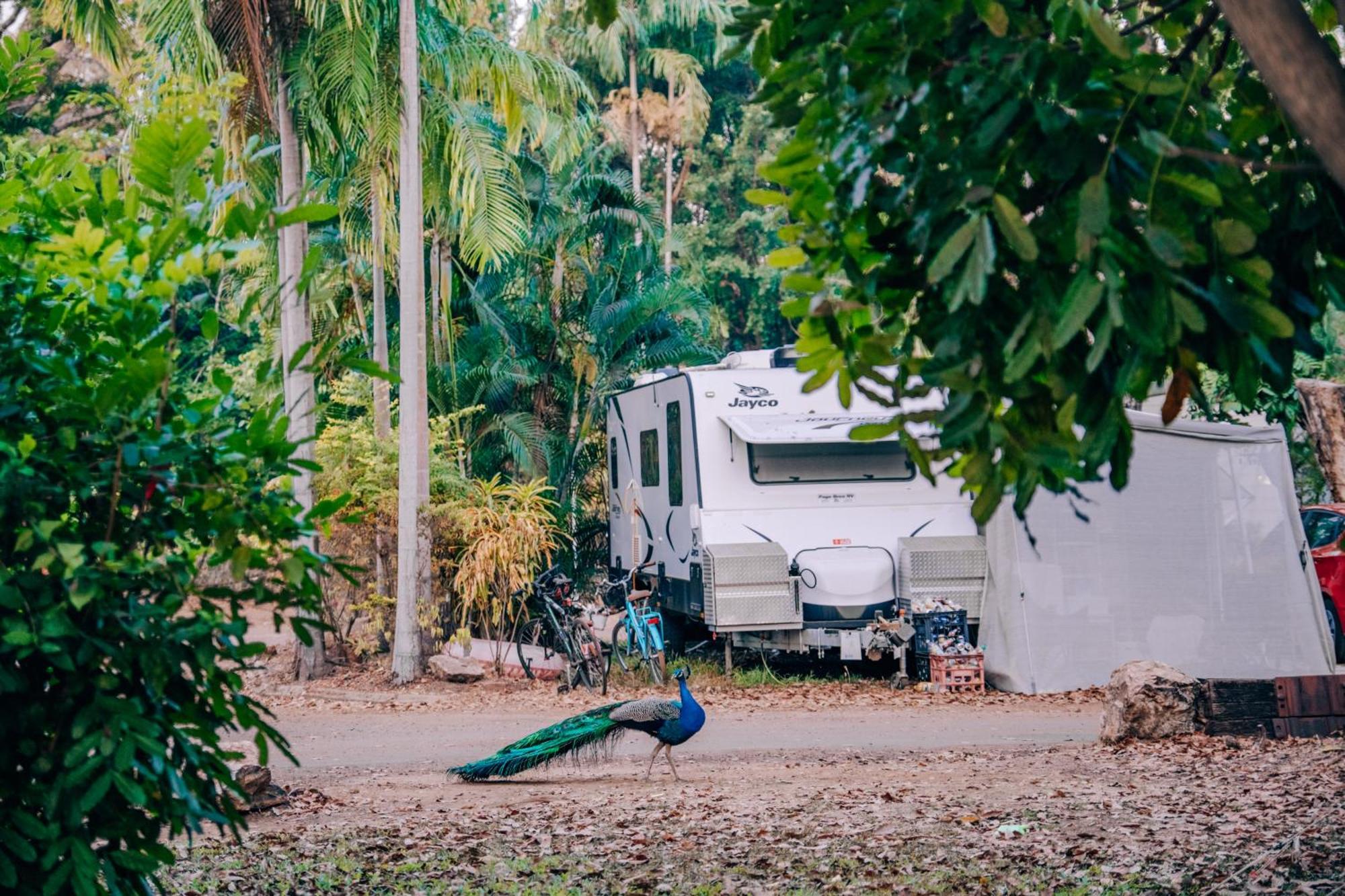 Big4 Howard Springs Holiday Park Darwin Kültér fotó